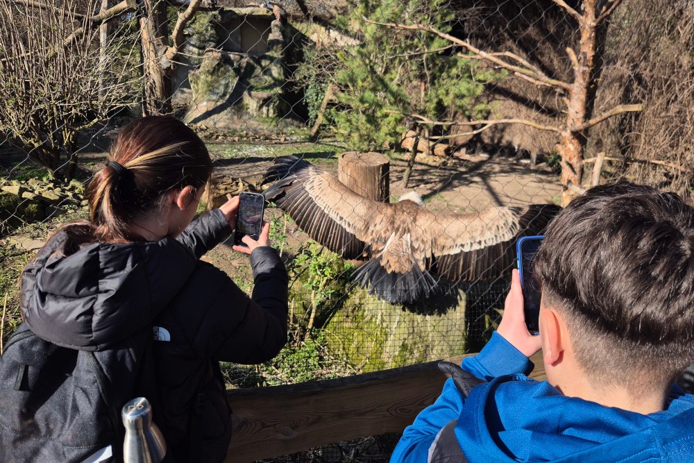 Wirbeltiere hautnah erleben - Die Klasse 5d im Zoo Heidelberg